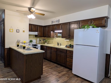 832 E Graceway Dr, Napoleon, OH 43545 - photo 2