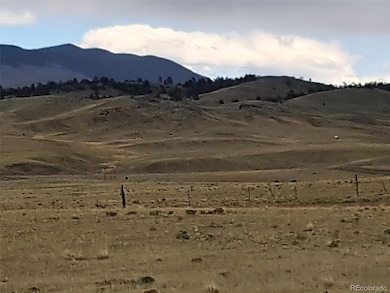 00 Comstick Rd, Hartsel, CO 80449 - photo 3