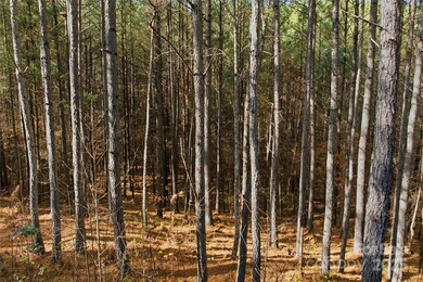 161 W Settings Blvd NW, Valdese, NC 28655 - photo 4