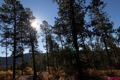 910 Red Canyon Trail, Durango, CO 81301 - photo 5