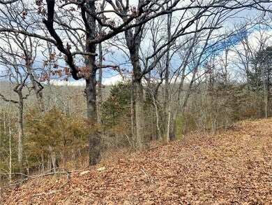 20242 Mount Olive Rd, Elkins, AR 72727 - photo 6