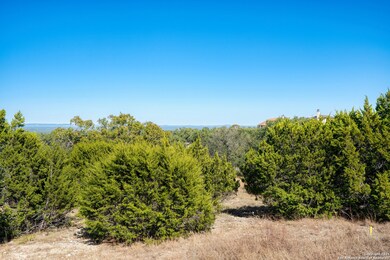 11 Wynstone, Fair Oaks, TX 78006 - photo 2