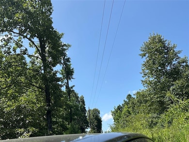 0 E Beachton Rd, Smithville, OK 74957 - photo 5