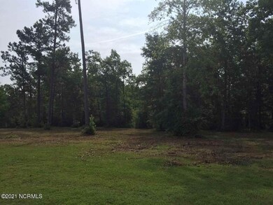 110 Winestone Place, Jacksonville, NC 28546 - photo 2