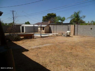 BACKYARD (5)