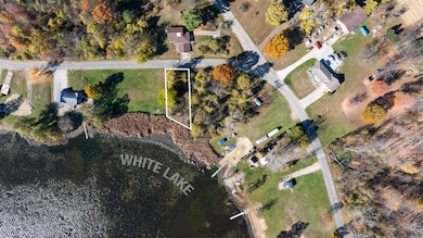2_white lake rd pleasant lake mi (aerial