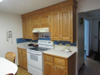 3 Sycamore Ave, Salem, NH 03079 - photo 5