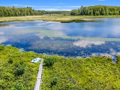 13391 Greenley Rd, Bitely, MI 49309 - photo 3