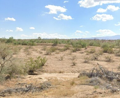 Unnamed Rd, Yucca, AZ 86438 - photo 6