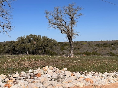 4 S Whitetail Trail unit 4, San Saba, TX 76877 - photo 6