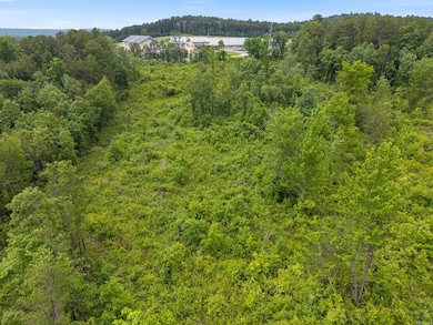 3 acres Highway 336 E, Clinton, AR 72031 - photo 6