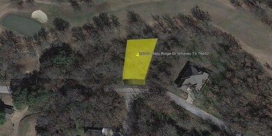 39313 Misty Ridge Dr, Whitney, TX 76692 - photo 3