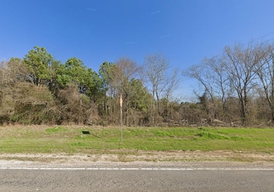 County Rd, Navasota, TX 77868 - photo 2