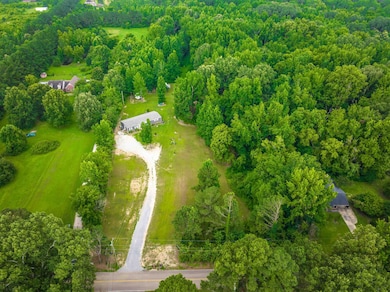 Aerial view of a forest