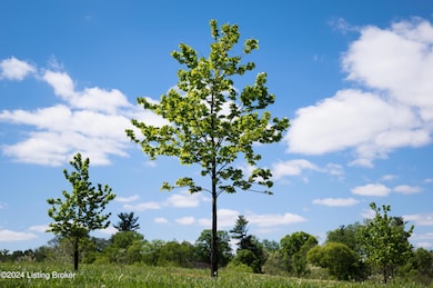 4503 Poplar Manor Rd, Louisville, KY 40207 - photo 6