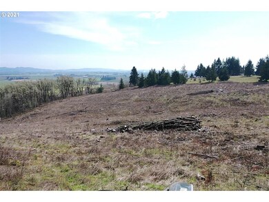 0 Red Hawk Ln unit 3 21170025, Sheridan, OR 97378 - photo 4