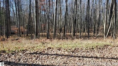 8122 Highland Trail unit 240, Canadian Lakes, MI 49346 - photo 2