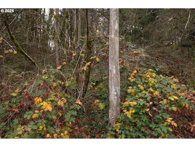 0 SW Lancaster Rd unit 540028719, Portland, OR 97219 - photo 5