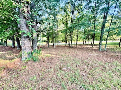 409 Grand Harbor Blvd, Ninety Six, SC 29666 - photo 4