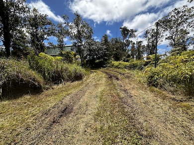 11-2736 Makoa Rd, Volcano, HI 96785 - photo 7