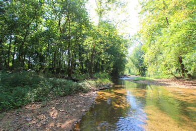 1328 Hurricane Creek Rd, Linden, TN 37096 - photo 4