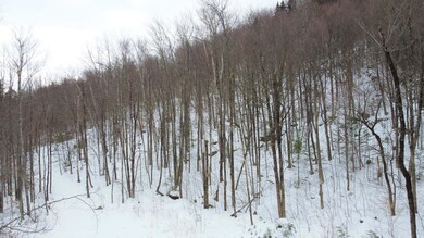 DJI_0010