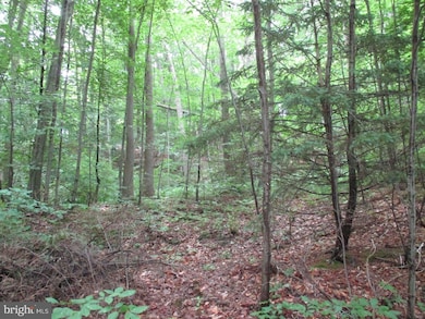 1534 Creek Rd, Glenmoore, PA 19343 - photo 3