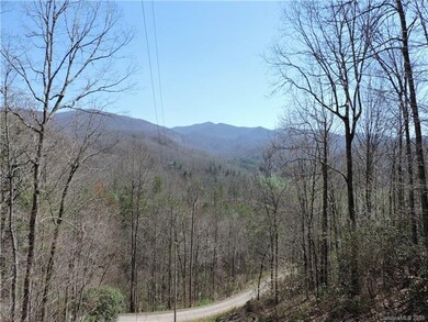 393 Grassy Knob Trail, Burnsville, NC 28714 - photo 6
