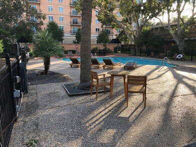 3938 W Alabama St unit 10, Houston, TX 77027 - photo 6