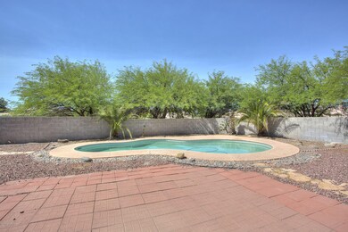 Back Yard 3
