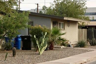 IMG_0498 (1)