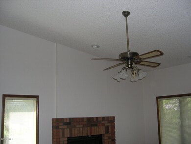Vaulted ceilings/fan in Family Rm