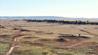 0 Ariz Rancho #85 Lots 005 & 024 unit 258777, Sun Valley, AZ 86029 - photo 2