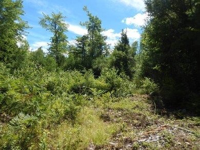 11 Valley Rd, Center Ossipee, NH 03814 - photo 6