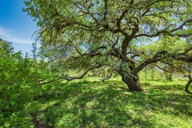 000 Ellis Rd, Beeville, TX 78102 - photo 2