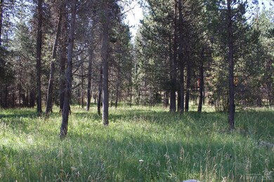 16845 Hermosa Dr, Bend, OR 97707 - photo 6