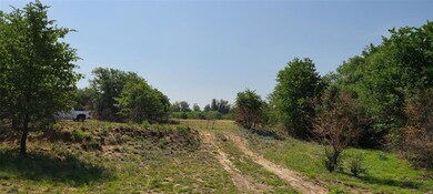 2750 Carter Rd, Springtown, TX 76082 - photo 5