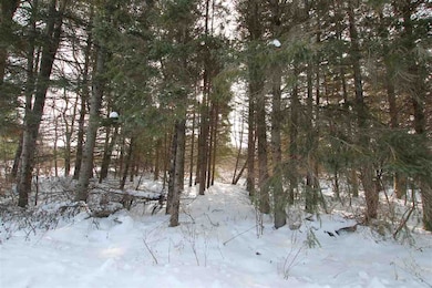 0 Ellsworth Rd unit 478422, Ellsworth, MI 49729 - photo 3