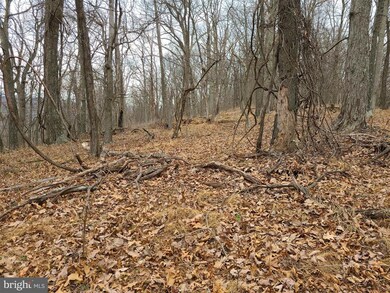 19 High Knob Rd, Old Fields, WV 26845 - photo 6