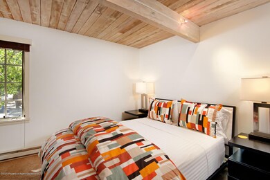 630 E Cooper Ave unit 13, Aspen, CO 81611 - photo 6