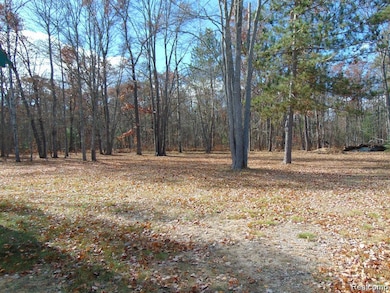 5305 Edgewood Rd, Lewiston, MI 49756 - photo 5