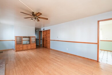 272 N Randolph Ave, Bradley, IL 60915 - photo 5