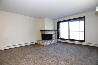 New Carpet and Paint