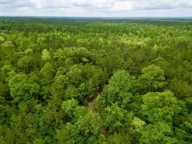 6-web-or-mls-DJI_0076