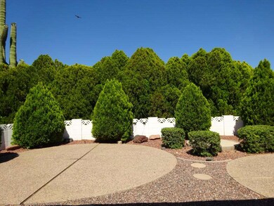 7 NICE PRIVATE BACK YARD