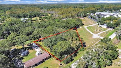 16906 Lakeshore Rd, Lutz, FL 33558 - photo 2