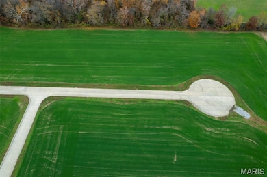 325 Bertha E Dumey Dr, Benton, MO 63736 - photo 3