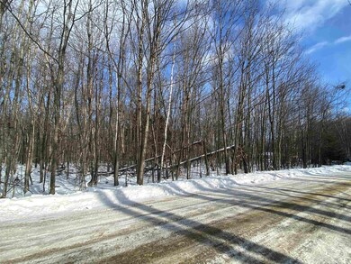 0 Musterfield Heights Rd unit M405 L24 4896352, Marlow, NH 03456 - photo 6