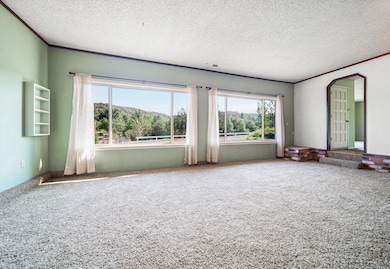 Family Room 4