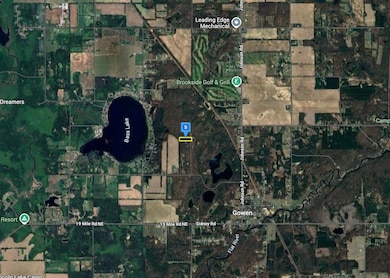 16299 Williams Woods Dr, Gowen, MI 49326 - photo 3